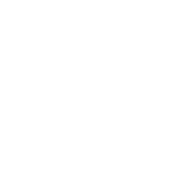 Elevate Customs Logo